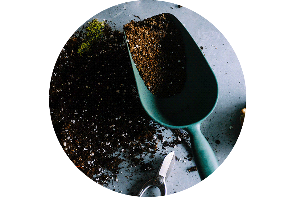 preparing soil for pot small shovel 