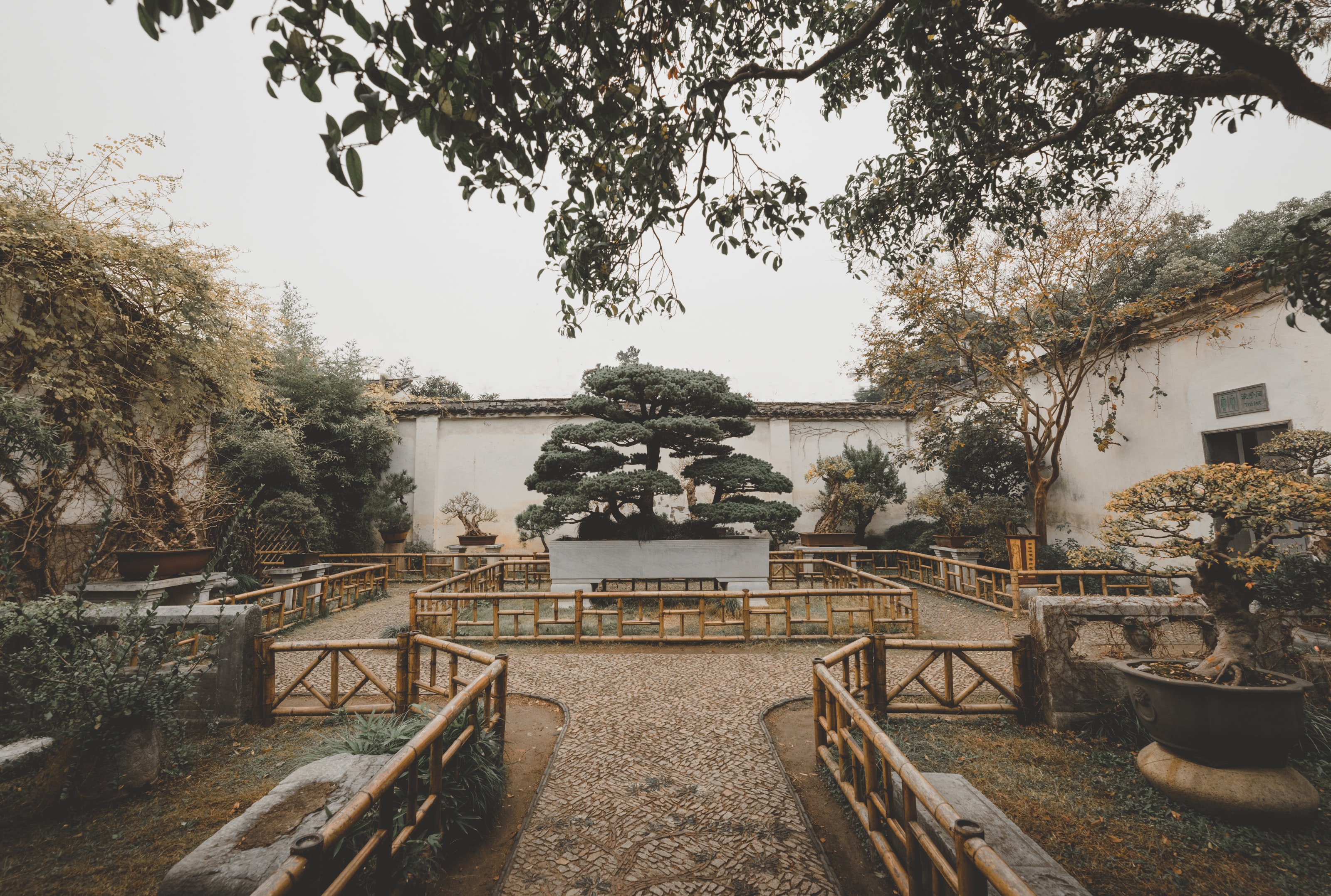 traditional japanese garden