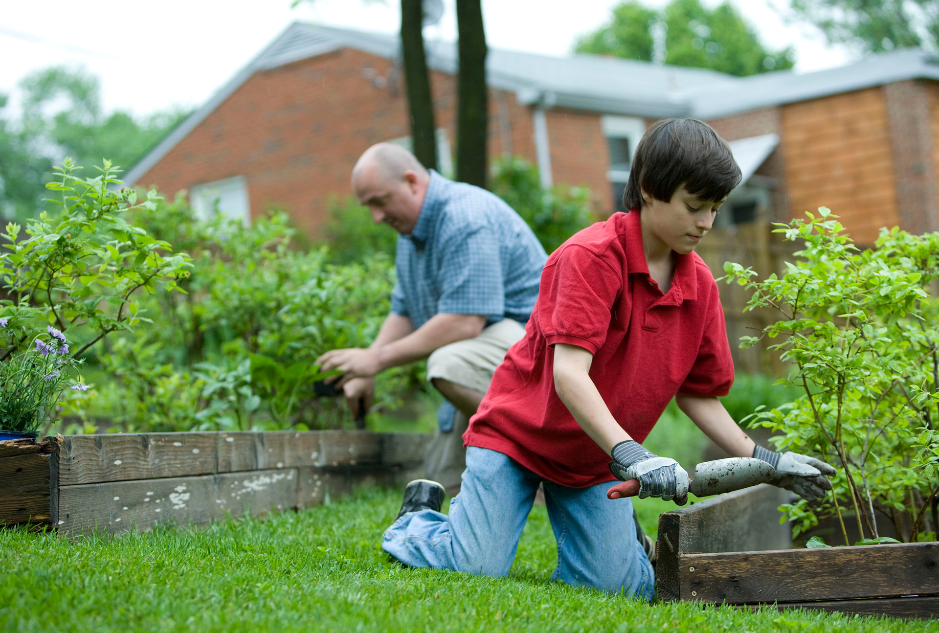 father and son gardening small plants