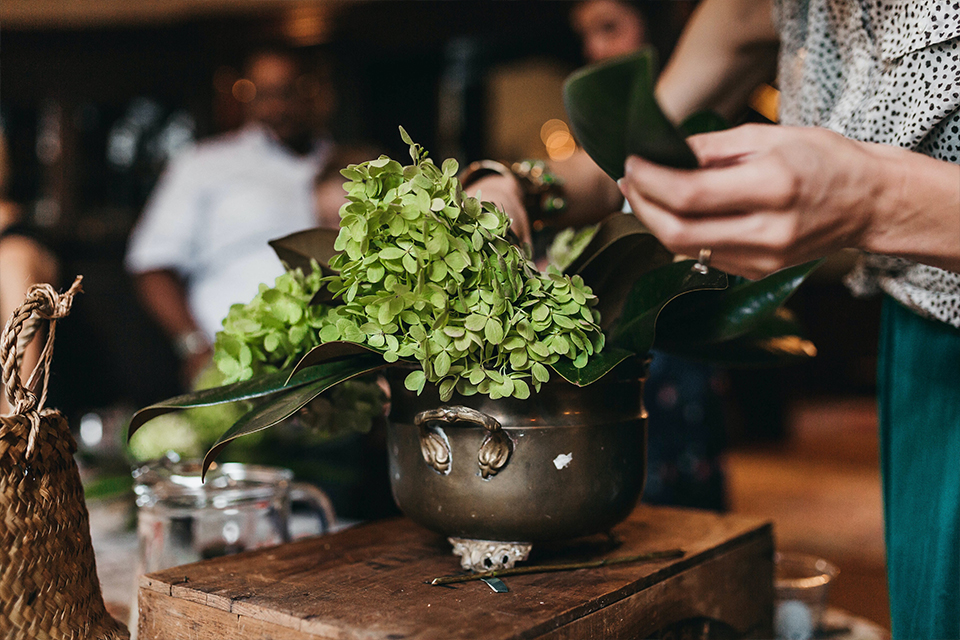 hands gardening plant tree indoors