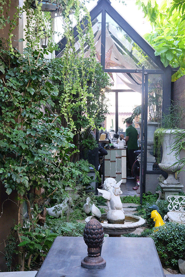 man inside workshop surrounded by plants