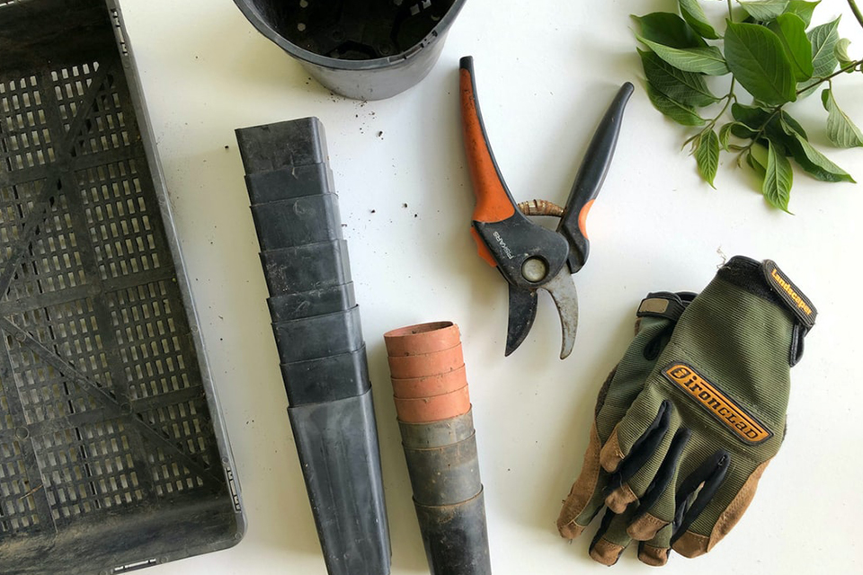 Bonsai scential care Tools