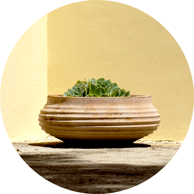 Oval flat ceramic pot