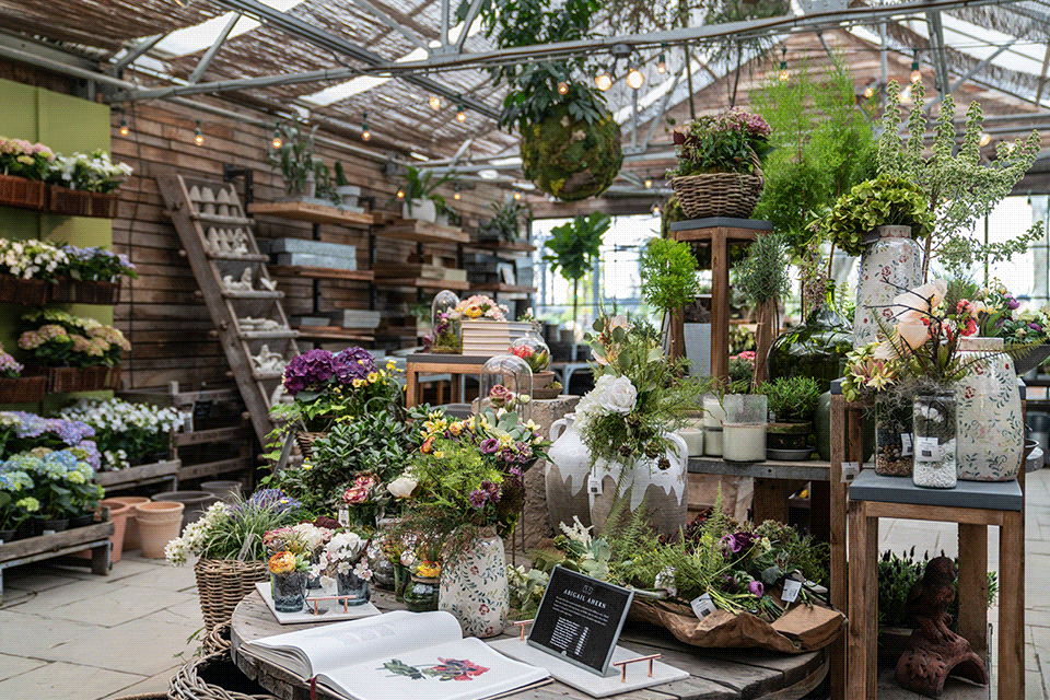 inside bonsai workshop surrounded by shelves with plants